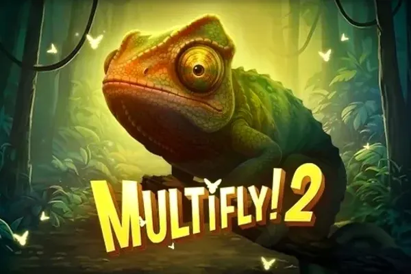MultiFly 2